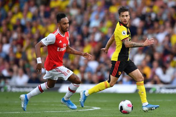 展现出极高 展现出极高